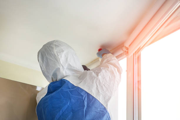 Why You Should Choose Our Mold Remediation Services in Elba, AL